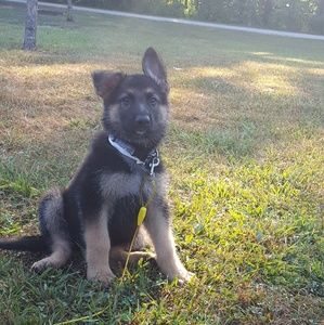 Meet your Posher, Paige